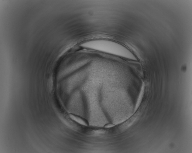X0000094170158200711241538