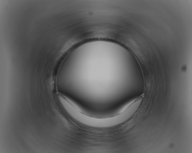 X0000094170160200711241538