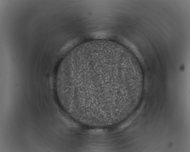 X0000094170161200711241538