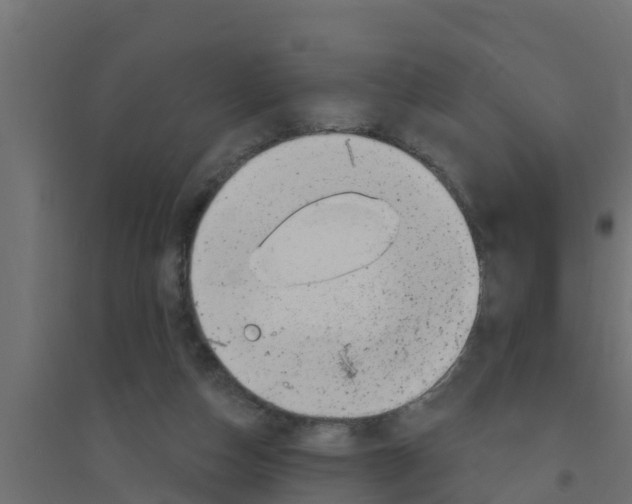 X0000094170162200711241538