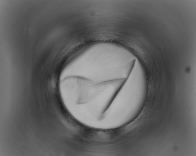 X0000094170166200711241538