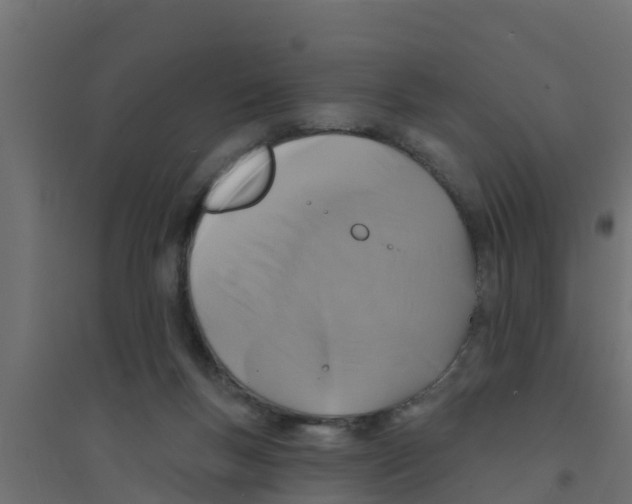 X0000094170167200711241538