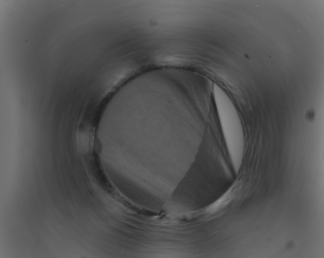 X0000094170168200711241538