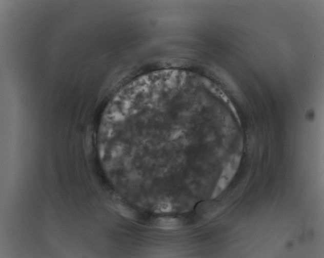 X0000094170169200711241538