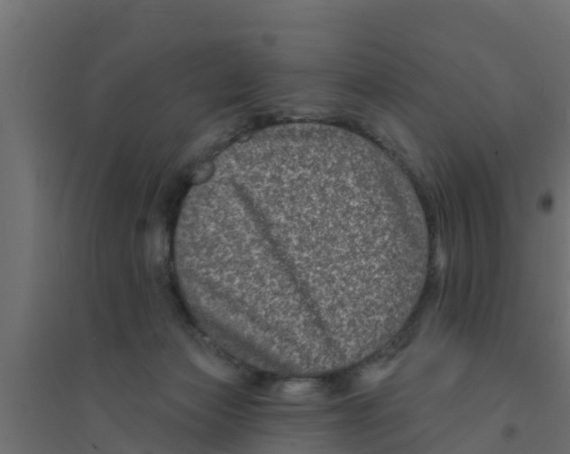 X0000094170173200711241538