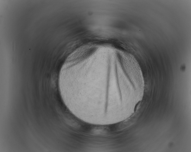 X0000094170175200711241538