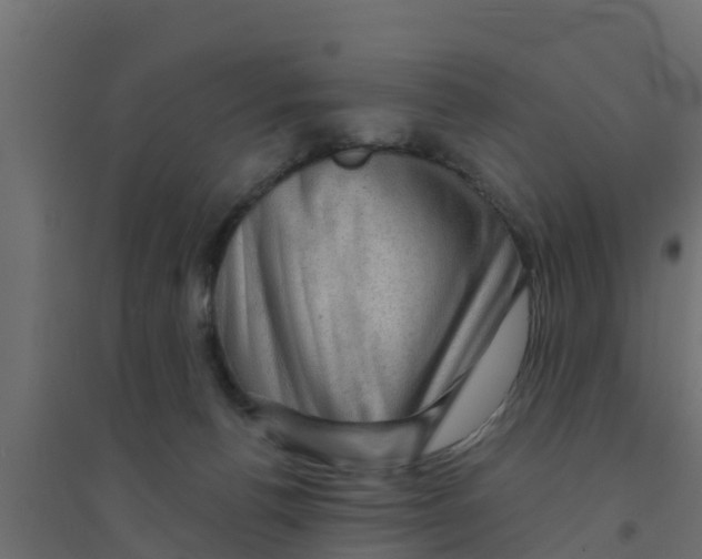 X0000094170176200711241538