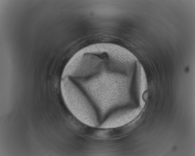 X0000094170178200711241538