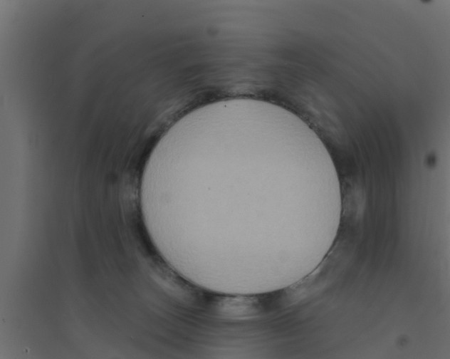 X0000094170179200711241538