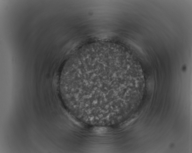 X0000094170181200711241538