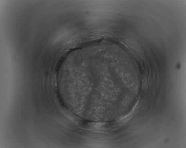 X0000094170182200711241538