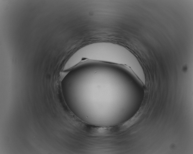 X0000094170184200711241538
