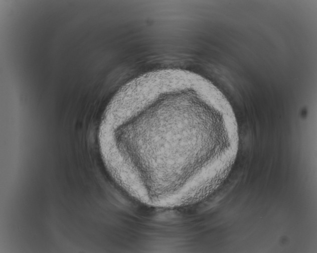 X0000094170185200711241538