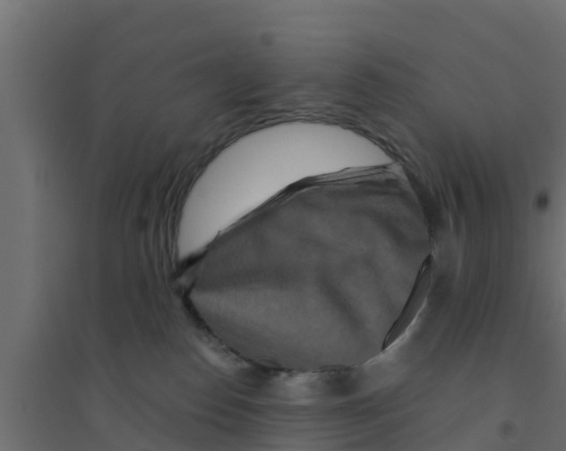 X0000094170186200711241538
