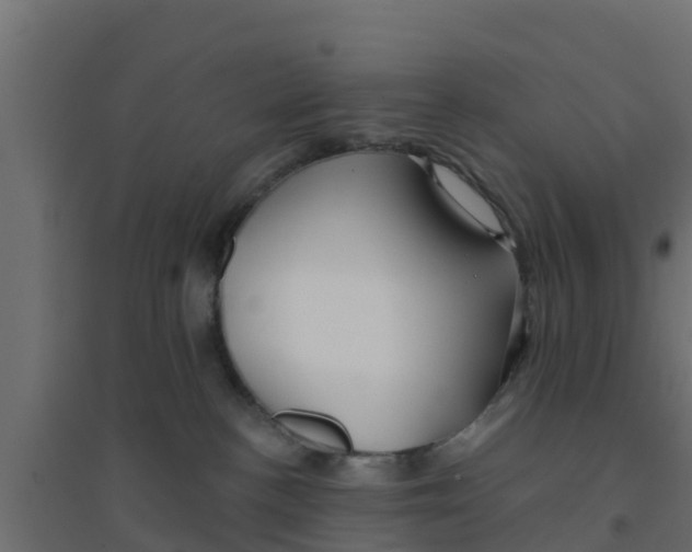 X0000094170188200711241538