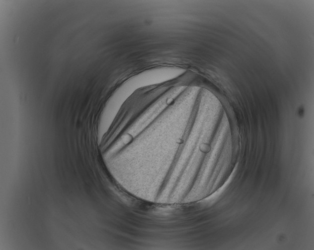 X0000094170190200711241538