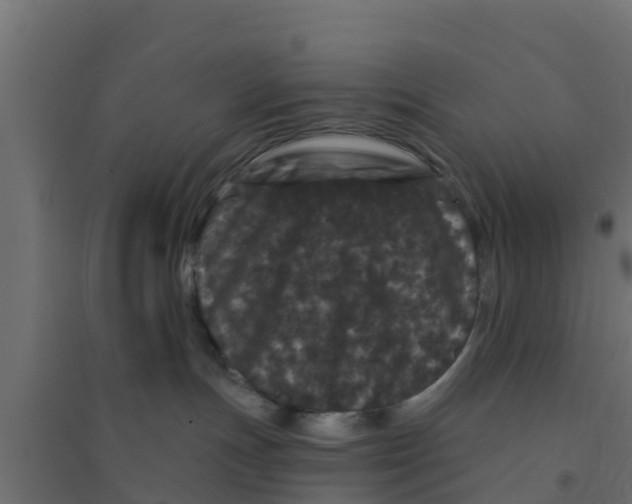 X0000094170191200711241538