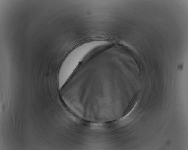 X0000094170192200711241538