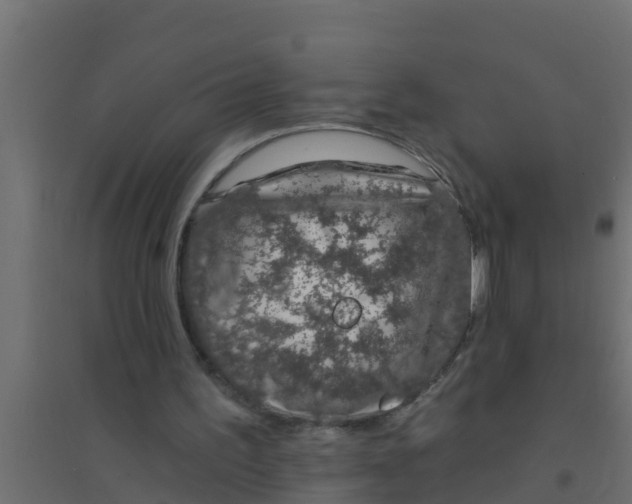 X0000094170195200711241538