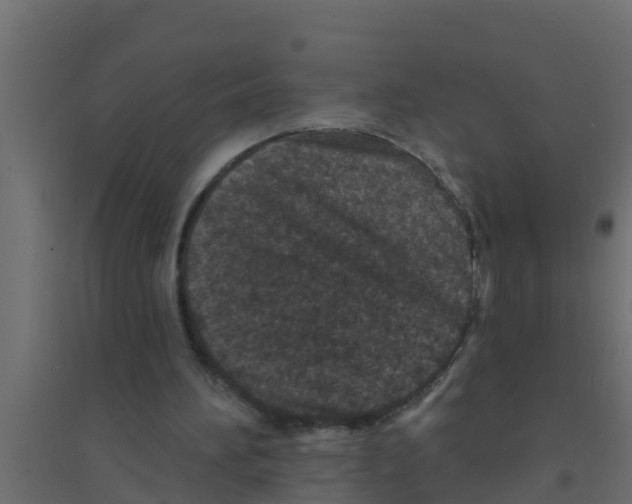 X0000094170196200711241538