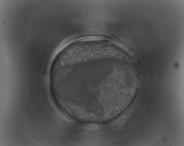 X0000094170198200711241538