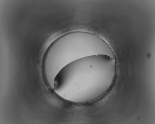 X0000094170199200711241538