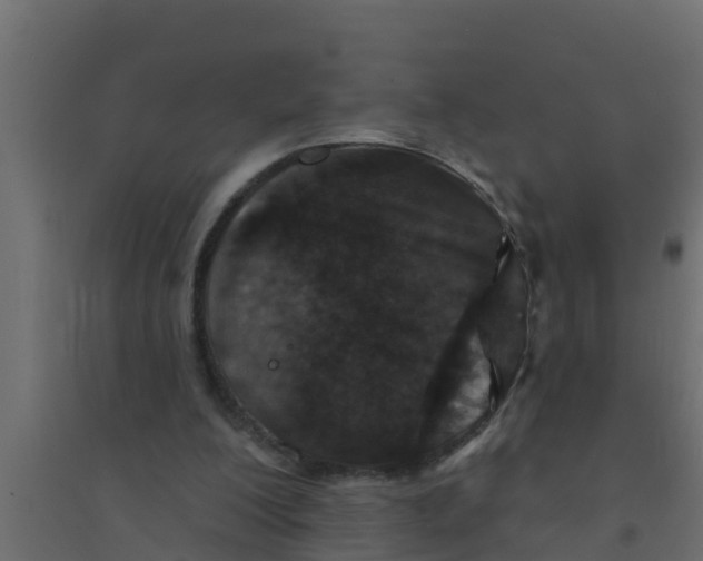 X0000094170200200711241538