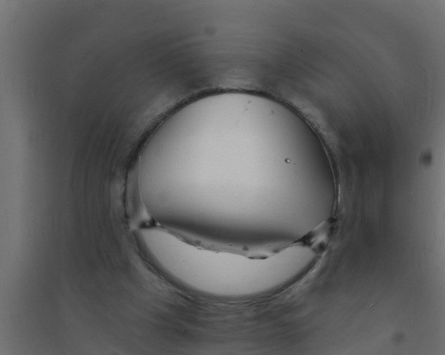 X0000094170201200711241537