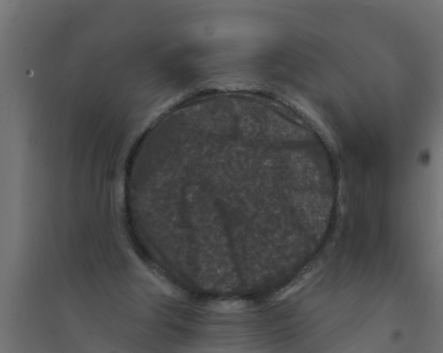 X0000094170202200711241537