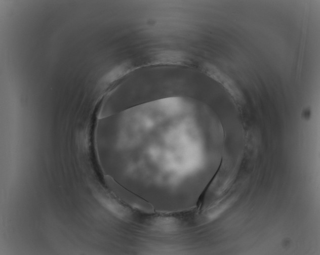 X0000094170203200711241537