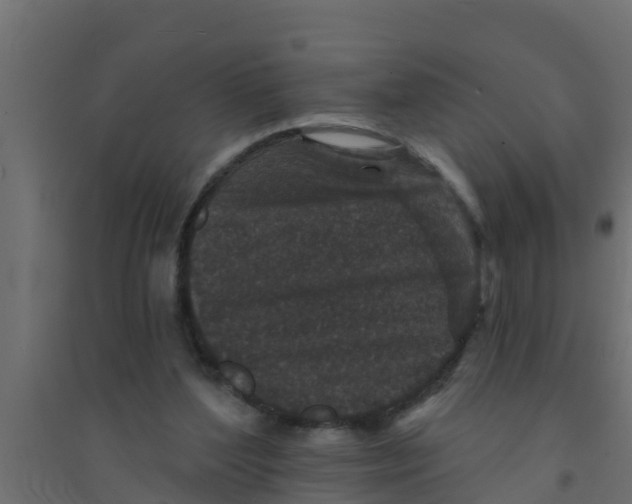 X0000094170204200711241537