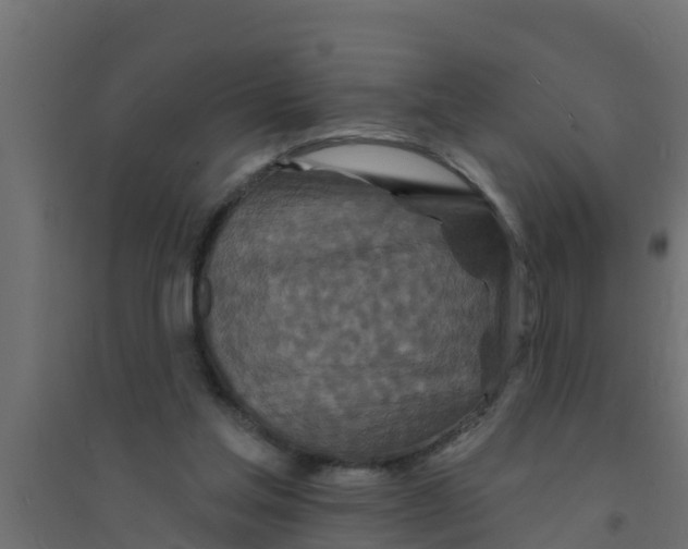 X0000094170205200711241537