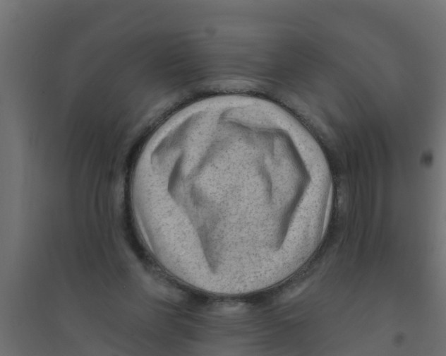 X0000094170206200711241537