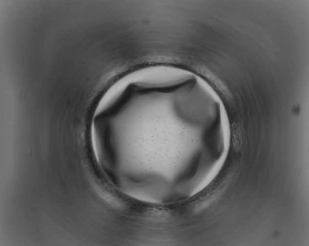X0000094170207200711241537