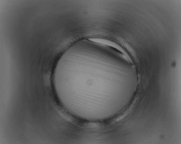 X0000094170209200711241537