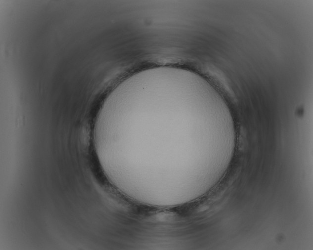 X0000094170210200711241537