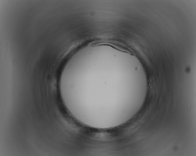 X0000094170212200711241537