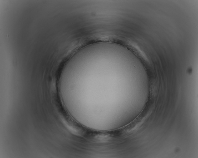 X0000094170213200711241537