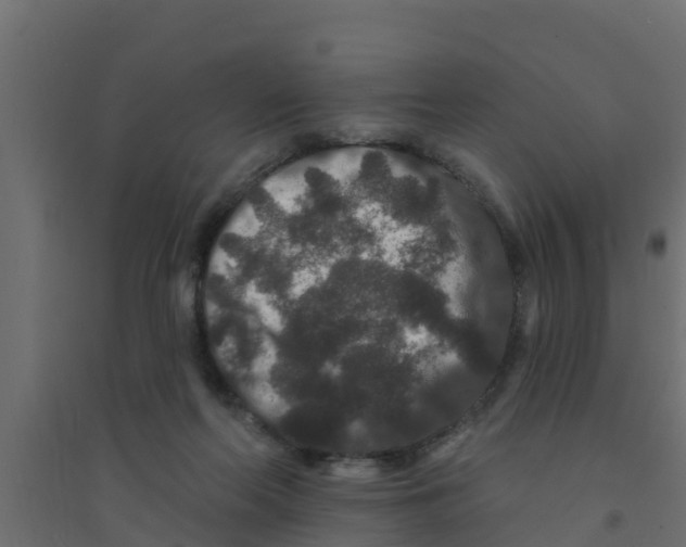 X0000094170214200711241537