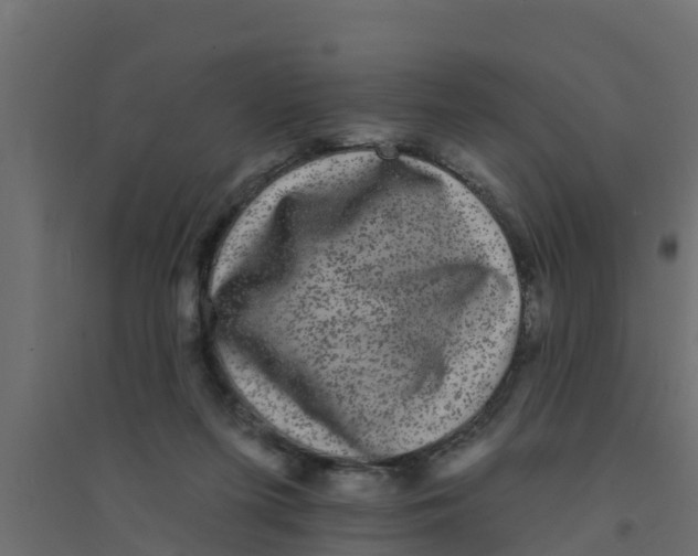 X0000094170215200711241537