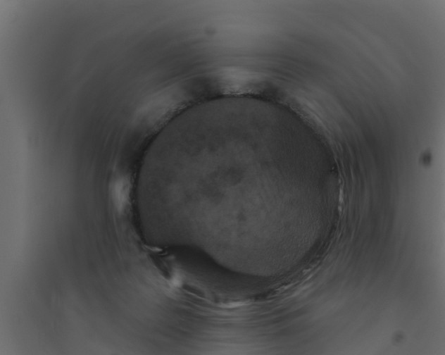 X0000094170219200711241537