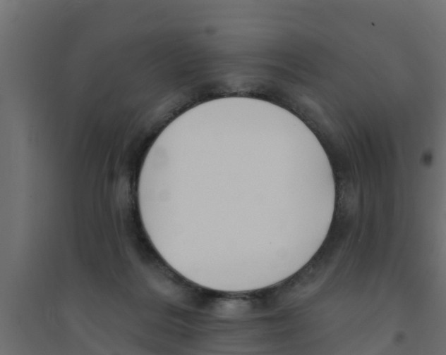 X0000094170220200711241537