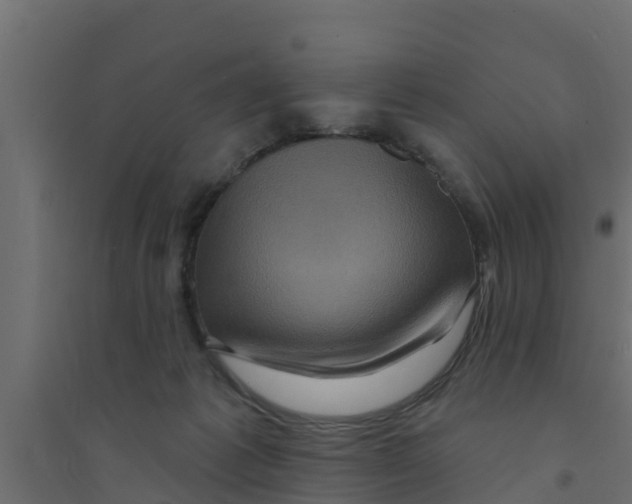 X0000094170221200711241537
