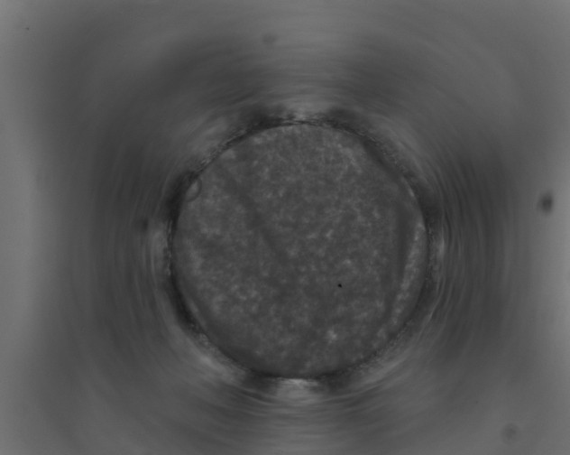 X0000094170222200711241537