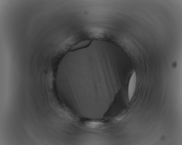 X0000094170223200711241537