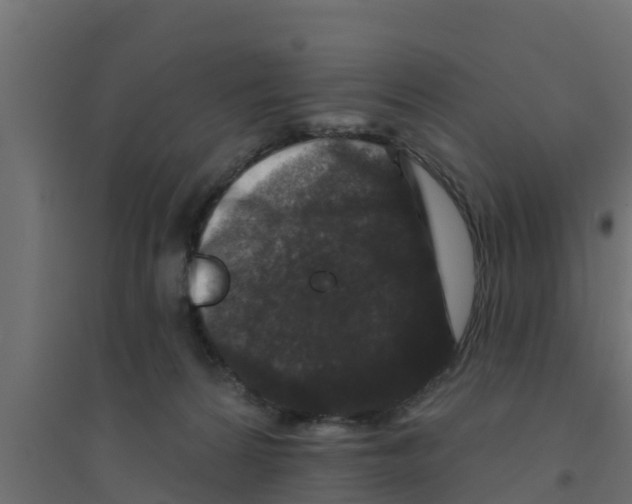X0000094170224200711241537