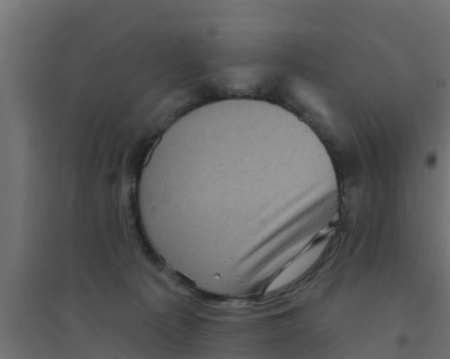 X0000094170225200711241537
