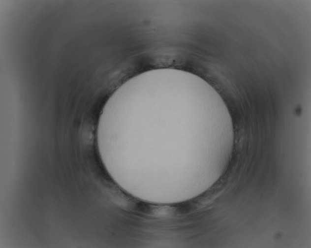 X0000094170226200711241537