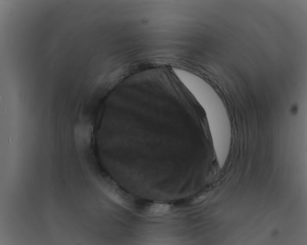 X0000094170227200711241537