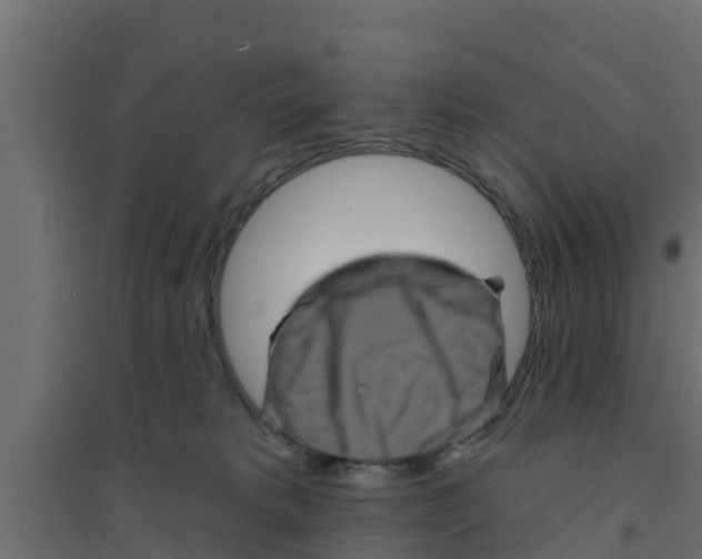 X0000094170229200711241537